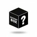 The Fidget Fluxers Subscription | Mystery Fidget Box