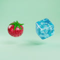 The V2 Squishy Bundle | The Squishy Collection V2